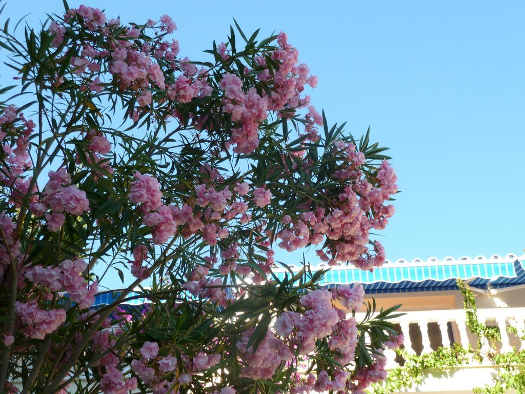 Villa Maxine Marbella Oda fotoğraf